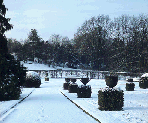 [Photo: snow in garden]